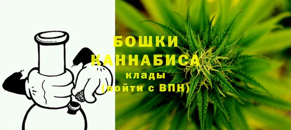 сатива Новодвинск
