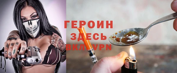 сатива Новодвинск