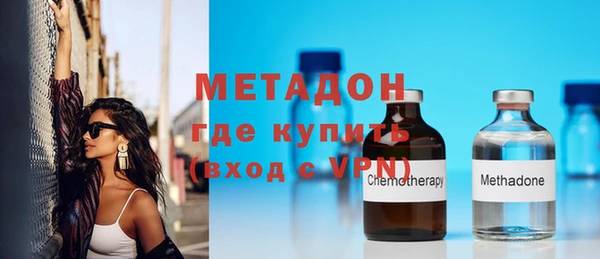сатива Новодвинск