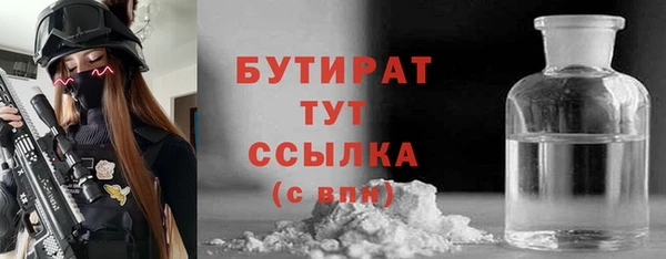 сатива Новодвинск