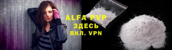 сатива Новодвинск