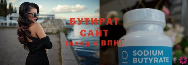 сатива Новодвинск