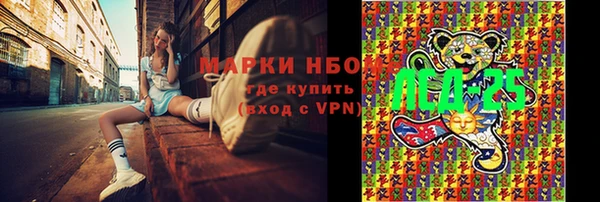 сатива Новодвинск