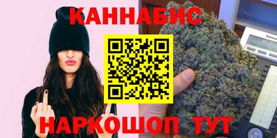 стафф Бийск