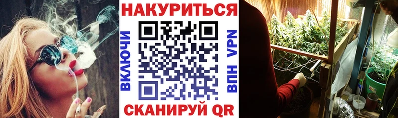 продажа наркотиков Соликамск Каннабис SATIVA & INDICA